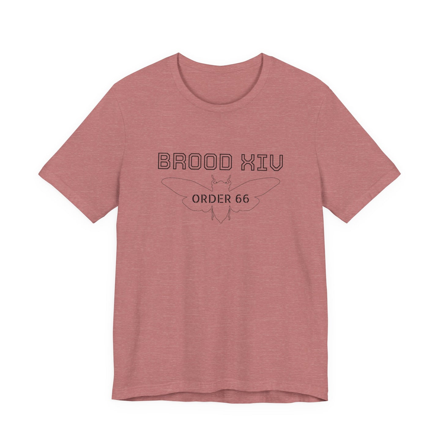 Brood XIV