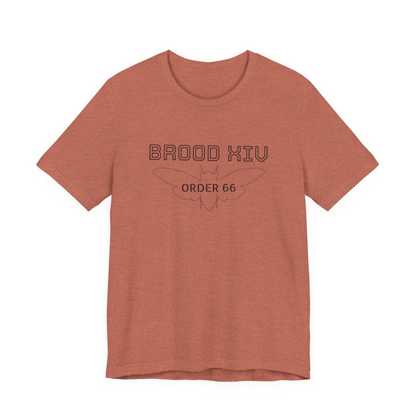 Brood XIV