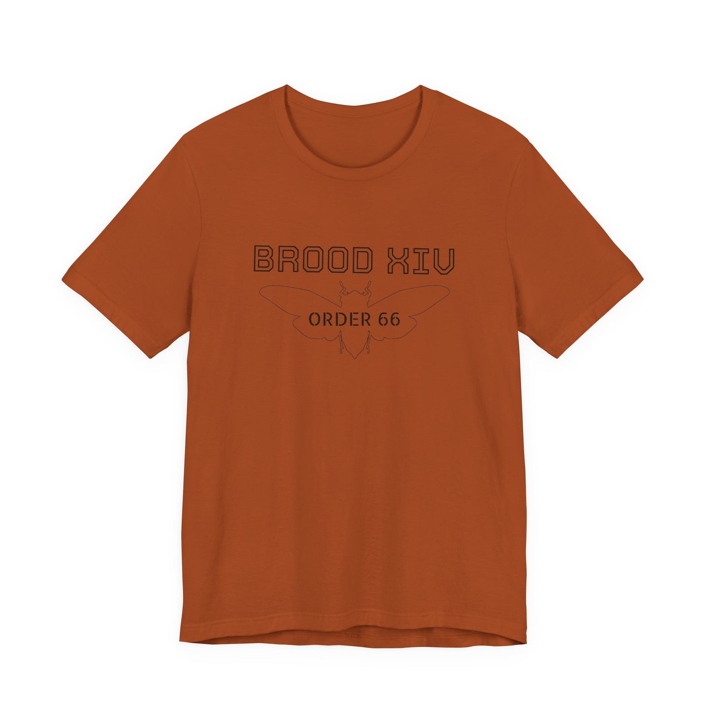 Brood XIV