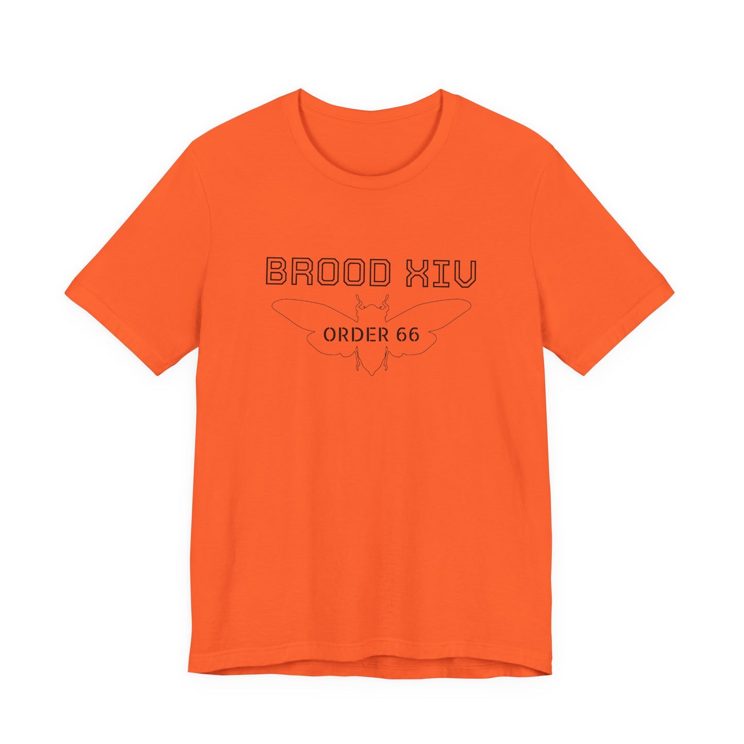 Brood XIV