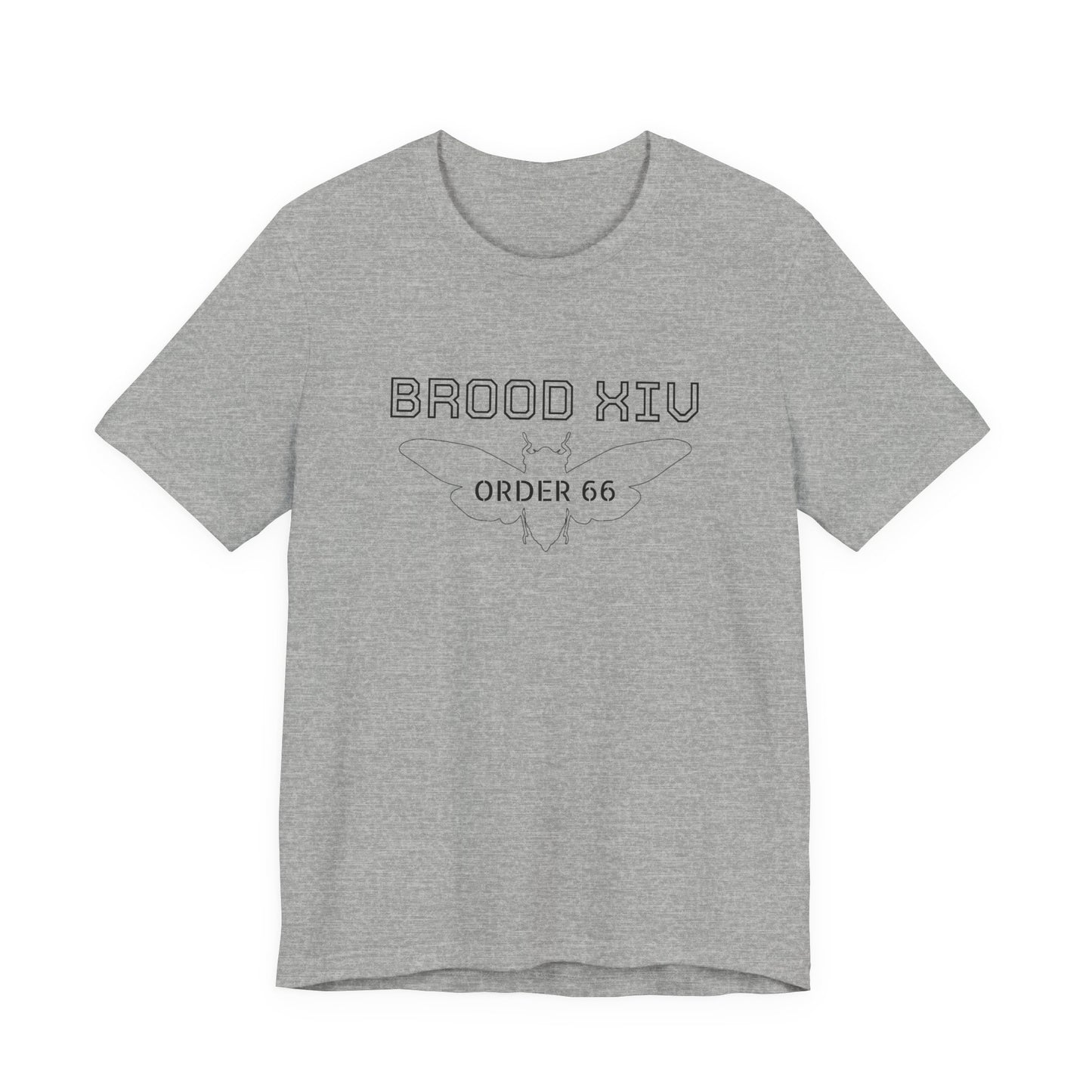 Brood XIV