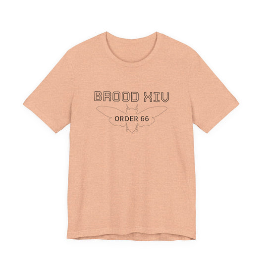 Brood XIV